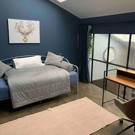 Designer Loft With Terrace