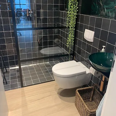 Designer Loft With Terrace